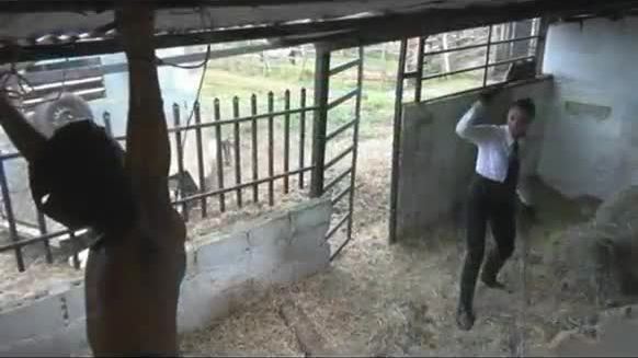 Latin cruel whipping in stables