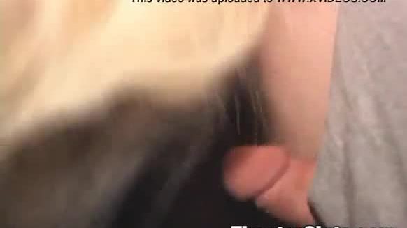 Blonde babe gets creampied at porn theater